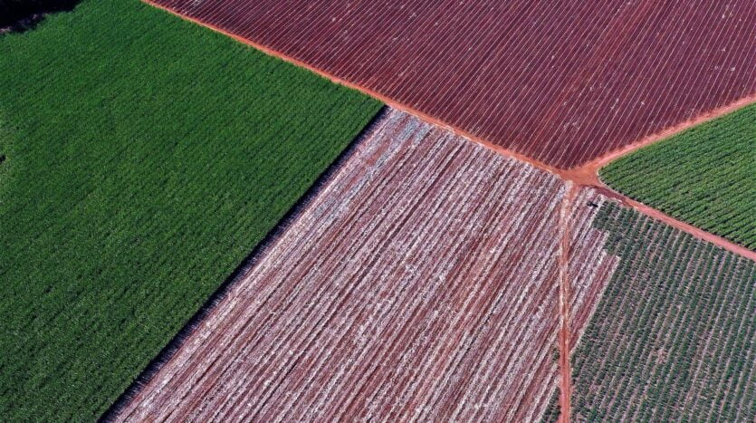 unidades de medidas agrárias