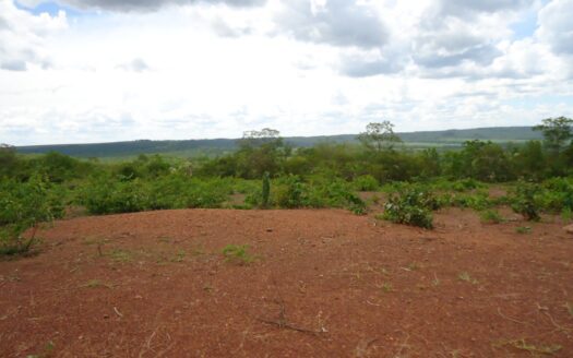 FAZENDA DE PECUÁRIA COM DUPLA APTIDÃO EM PEDRO GOMES MS – 2.300 HA