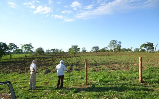 FAZENDA DE PECUÁRIA COM DUPLA APTIDÃO EM PEDRO GOMES MS – 2.300 HA