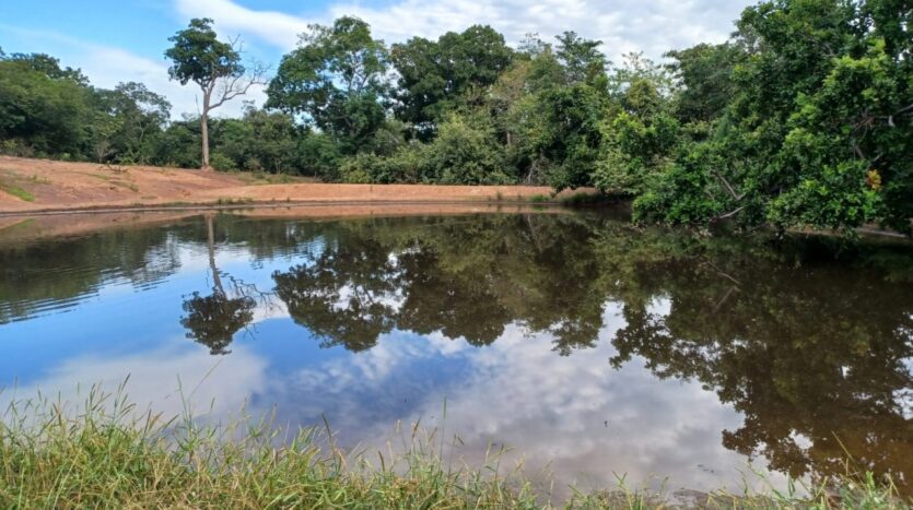 fazenda a venda no pantanal