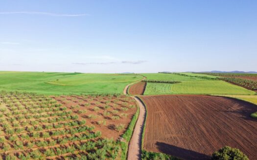 Divisão de Terras Entre Herdeiros
