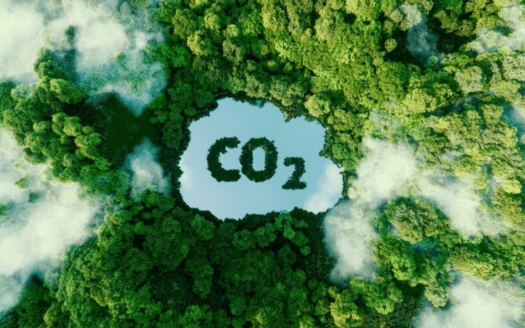 mercado de crédito de carbono