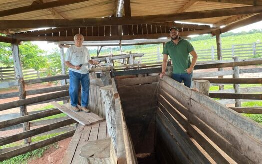 corretor de fazendas no Mato Grosso do Sul