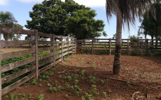 Vender Fazenda