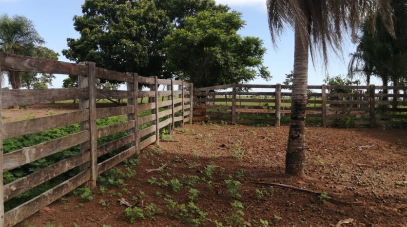 Vender Fazenda