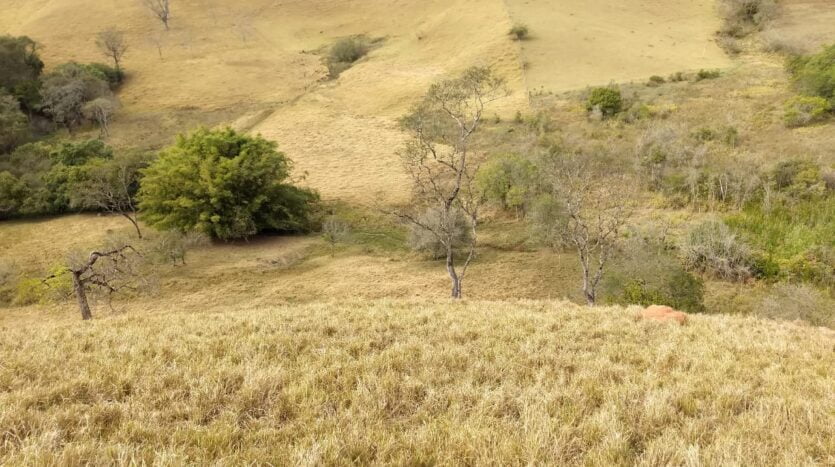 terrenos a venda em cambui mg