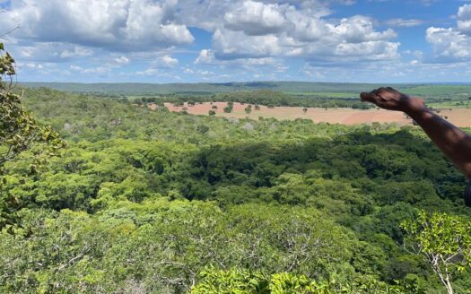 compra e venda de fazendas