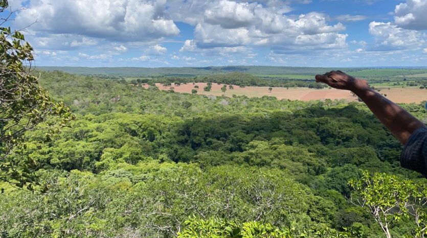 compra e venda de fazendas