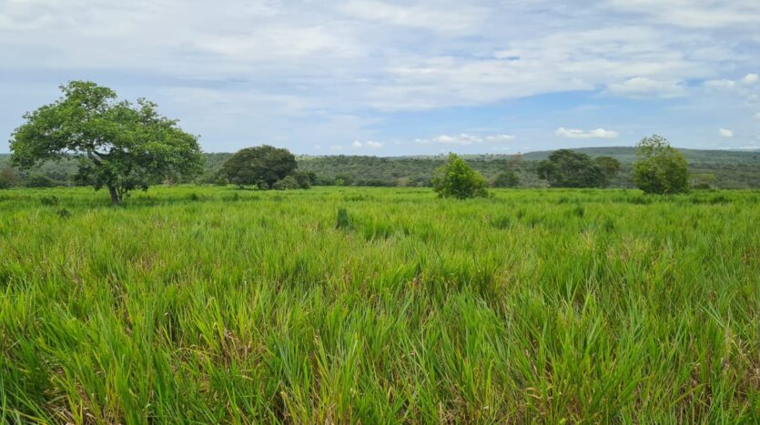 Fazenda a venda em Coxim MS