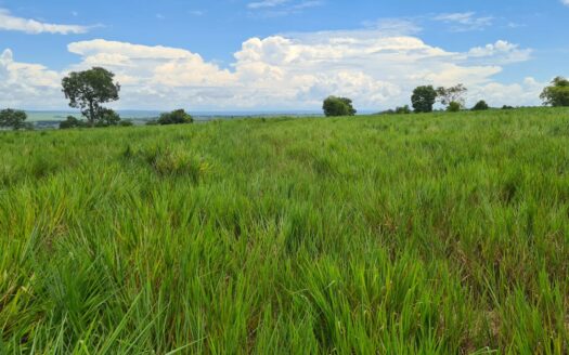 FAZENDA A VENDA EM COXIM MS COM ÁREA TOTAL DE 337 HECTARES