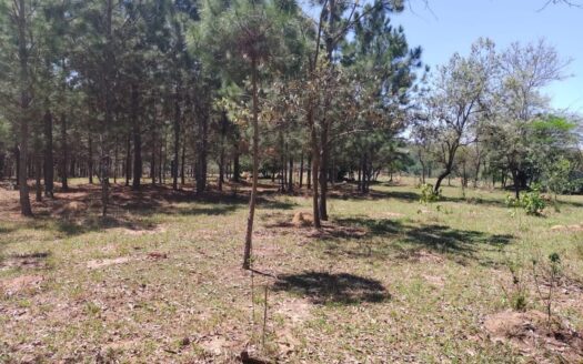 TERRENO A VENDA EM ITU COM VOCAÇÃO PARA HARAS, POUSADA, HOTEL, PESQUEIRO