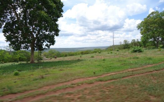 Venda de Propriedades Rurais