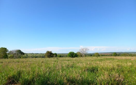 FAZENDA EM RIO VERDE DE MATO GROSSO/MS À VENDA