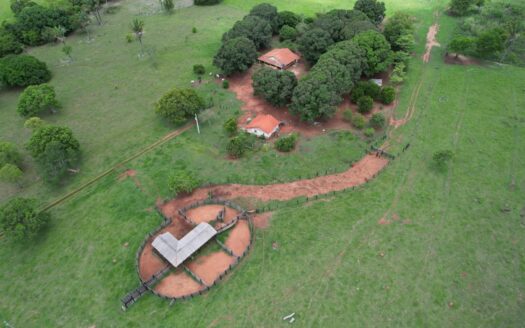 FAZENDA DE 477 HECTARES À VENDA EM RIO VERDE DE MATO GROSSO MS