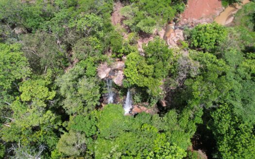 FAZENDA DE 477 HECTARES À VENDA EM RIO VERDE DE MATO GROSSO MS