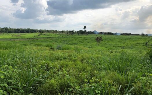 Fazenda à Venda no Estado do Pará, município de São Domingos do Capim – 732 hectares