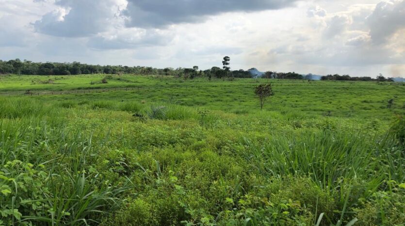 fazenda à venda no estado do pará
