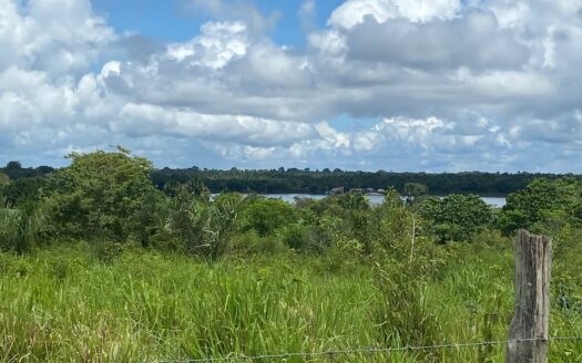 Fazenda à Venda no Pará, município de Bujaru – 649 hectares