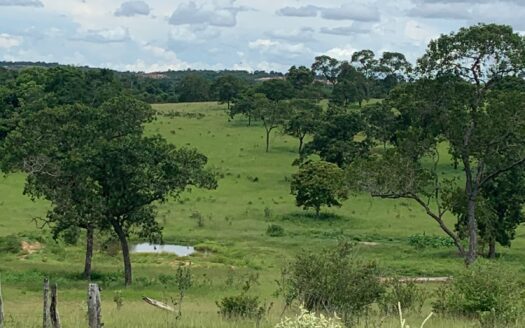 FAZENDA À VENDA EM CAMAPUÃ MS DE DUPLA APTIDÃO
