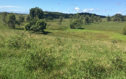 Fazenda em Araruama no RJ à Venda – Porteira Fechada