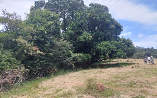 ÁREA ESTRATÉGICA EM TERRENO EM LAVRAS MG