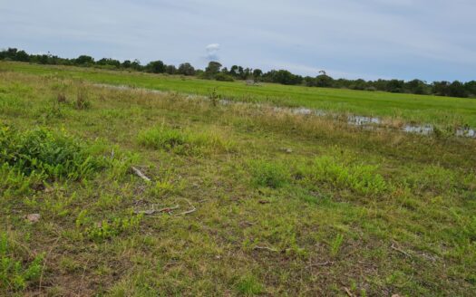 FAZENDA NO PANTANAL DO PAIAGUÁS – COXIM/MS