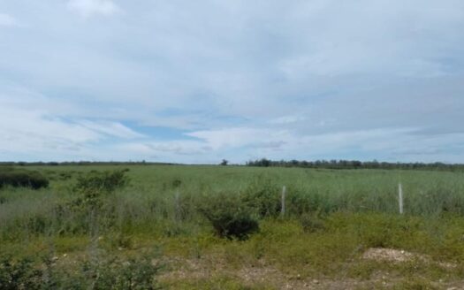 Fazenda Santa Rita De Cássia, Bahia na região do MATOPIBA – 464 hectares