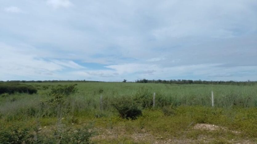 fazenda santa rita de cássia