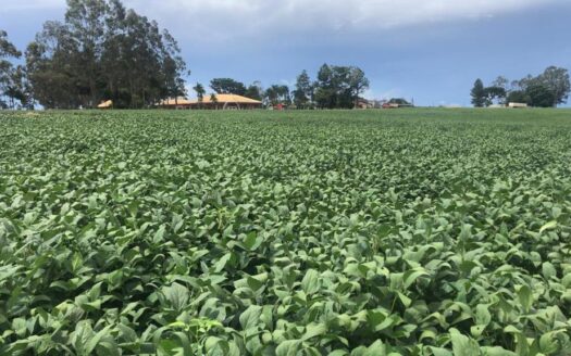 FAZENDA À VENDA EM SERRANÓPOLIS, GOIÁS – 3.035 HA