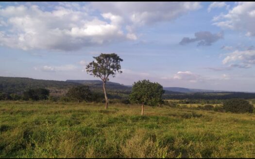 FAZENDA EM SERRANÓPOLIS GO PARA PECUÁRIA