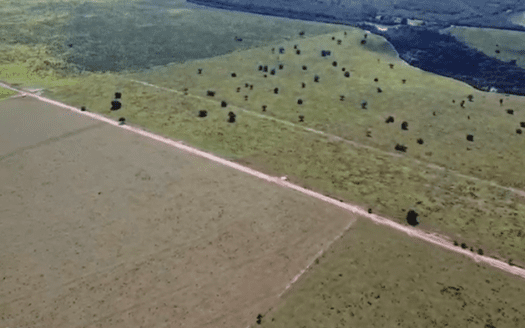 Fazenda à Venda em Ribeirão Cascalheira MT com 1.164 hectares