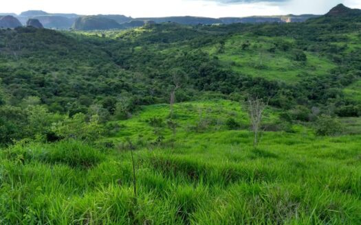 Fazenda à Venda em Pedra Preta MT para Pecuária com 2.508 hectares