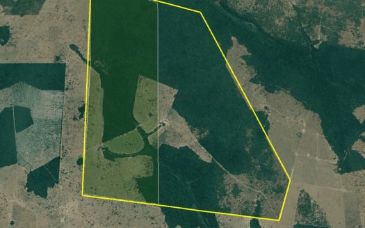 FAZENDA À VENDA EM MATO GROSSO DE PECUÁRIA COM 2.555 HECTARES – OPORTUNIDADE PARA INVESTIDOR