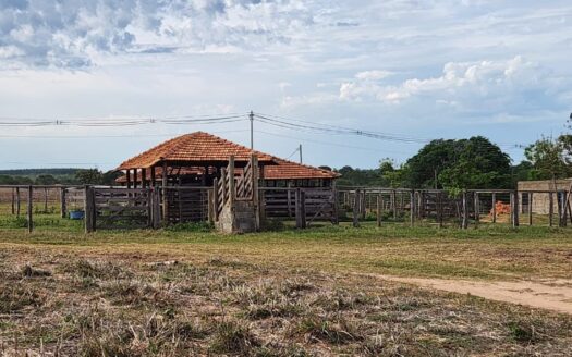 FAZENDA À VENDA EM JOÃO PINHEIRO MG DUPLA APTIDÃO COM 274HA 