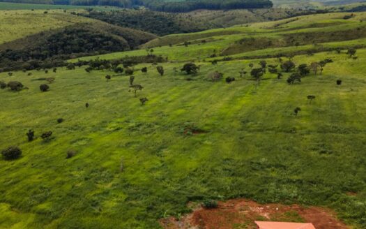 FAZENDA À VENDA NO TRIÂNGULO MINEIRO (MG) COM 194 HECTARES PARA PECUÁRIA