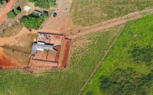 FAZENDA DE 3.761 HECTARES EM BRASNORTE/MT