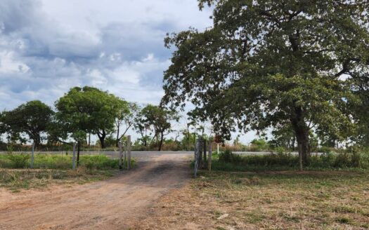 FAZENDA À VENDA EM JOÃO PINHEIRO MG DUPLA APTIDÃO COM 274HA 