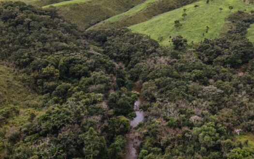 FAZENDA À VENDA NO TRIÂNGULO MINEIRO (MG) COM 194 HECTARES PARA PECUÁRIA