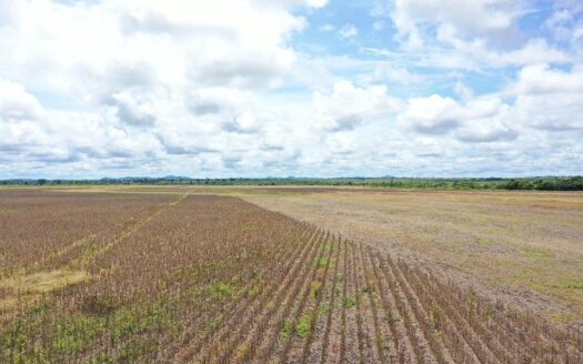FAZENDA DE DUPLA APTIDÃO À VENDA NA REGIÃO CONFRESA MT – 2.527 HA
