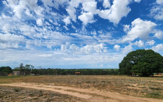 FAZENDA À VENDA EM JOÃO PINHEIRO MG DUPLA APTIDÃO COM 274HA 