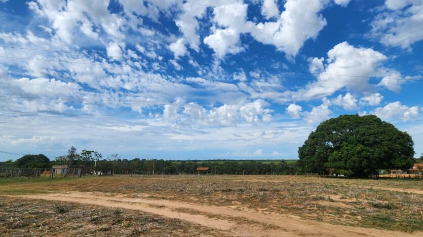 Fazenda a Venda em Joao Pinheiro MG