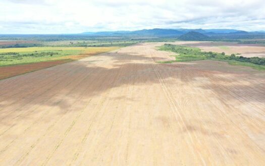 FAZENDA DE DUPLA APTIDÃO À VENDA NA REGIÃO CONFRESA MT – 2.527 HA