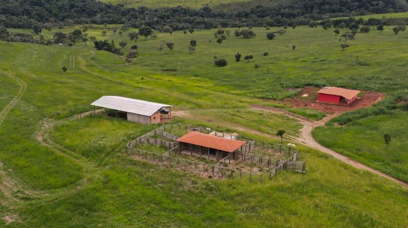 fazenda à venda no triângulo mineiro
