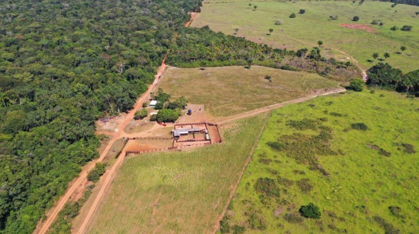 fazenda em brasnorte