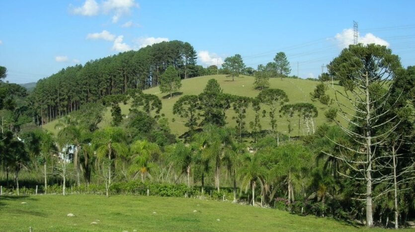 fazenda para investimento