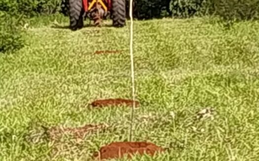 FAZENDA À VENDA EM PARANAÍBA MS PARA PECUÁRIA COM 1.307 HECTARES