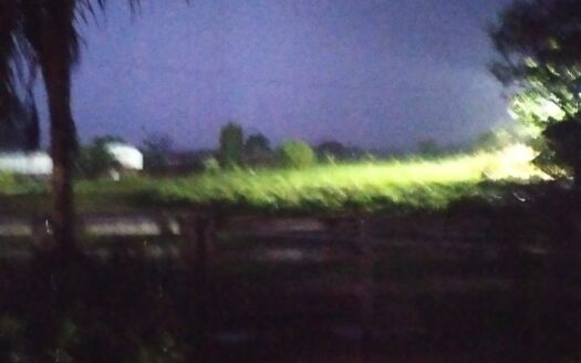 FAZENDA À VENDA EM PARANAÍBA MS PARA PECUÁRIA COM 1.307 HECTARES