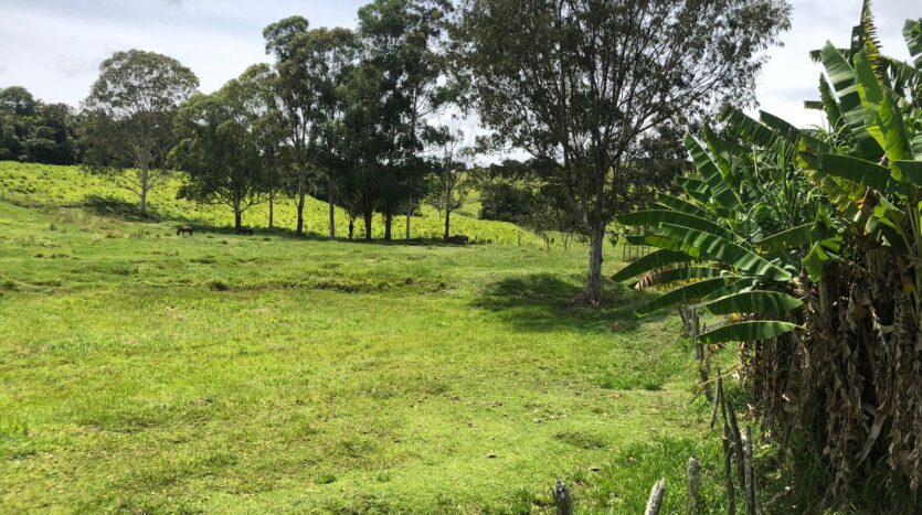 Fazenda à Venda no Sul de Minas
