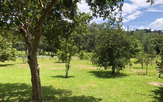 FAZENDA À VENDA NO SUL DE MINAS COM 46 HECTARES EM SOLEDADE DE MINAS