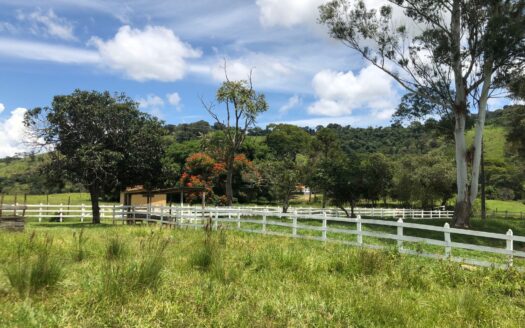 FAZENDA À VENDA NO SUL DE MINAS COM 46 HECTARES EM SOLEDADE DE MINAS